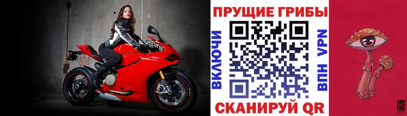 Галлюциногенные грибы мицелий Безенчук